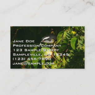 Bananaquit Bird Eating Tropical Photography Business Card