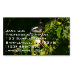 Bananaquit Bird Eating Tropical Photography Business Card Magnet