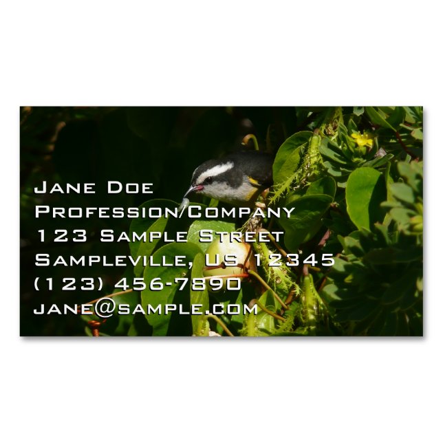 Bananaquit Bird Eating Tropical Photography Business Card Magnet (Front)