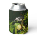 Bananaquit Bird Eating Tropical Photography Can Cooler