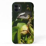 Bananaquit Bird Eating Tropical Photography iPhone 11 Case