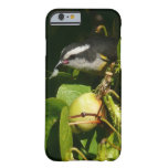 Bananaquit Bird Eating Tropical Photography Barely There iPhone 6 Case