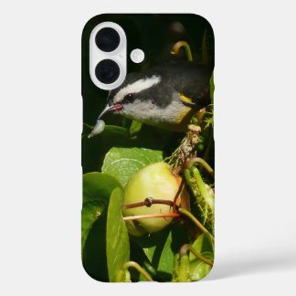 Bananaquit Bird Eating Tropical Photography iPhone 16 Case