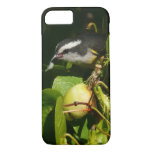 Bananaquit Bird Eating Tropical Photography iPhone 8/7 Case