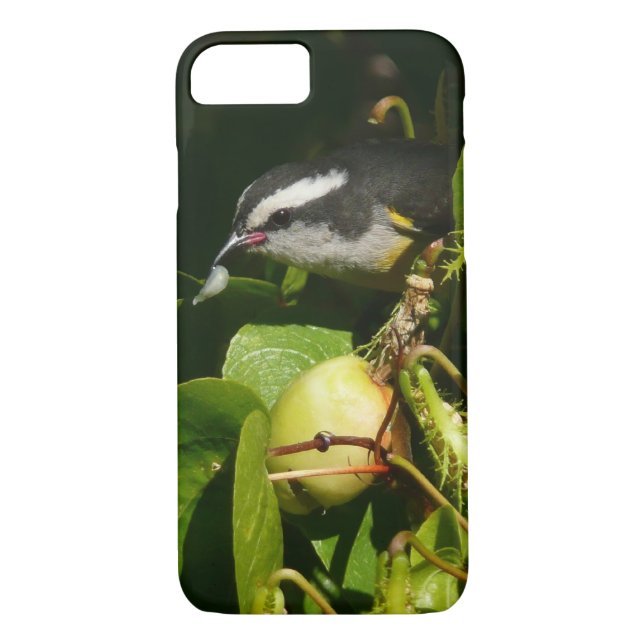 Bananaquit Bird Eating Tropical Photography Case-Mate iPhone Case (Back)