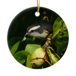 Bananaquit Bird Eating Tropical Photography Ceramic Ornament