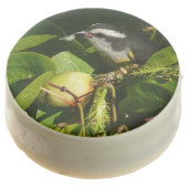 Bananaquit Bird Eating Tropical Photography Chocolate Covered Oreo (Angled)