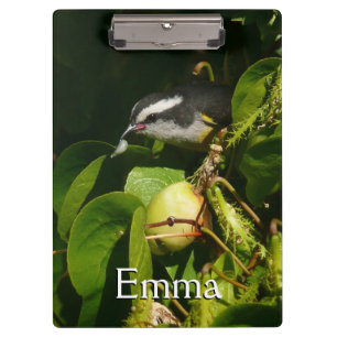 Bananaquit Bird Eating Tropical Photography Clipboard