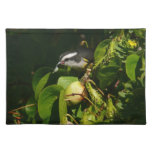 Bananaquit Bird Eating Tropical Photography Cloth Placemat
