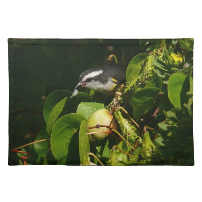 Bananaquit Bird Eating Tropical Photography Cloth Placemat (Front)