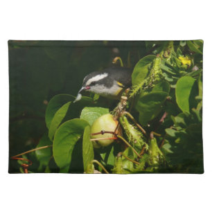 Bananaquit Bird Eating Tropical Photography Cloth Placemat