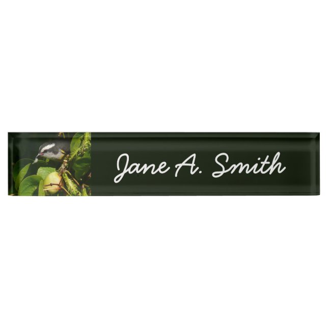 Bananaquit Bird Eating Tropical Photography Desk Name Plate (Front)