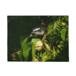 Bananaquit Bird Eating Tropical Photography Doormat