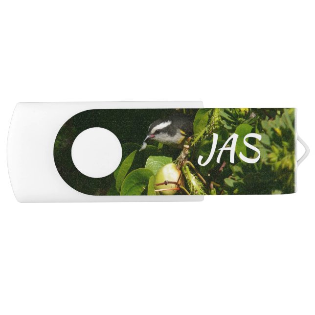 Bananaquit Bird Eating Tropical Photography Flash Drive (Front)