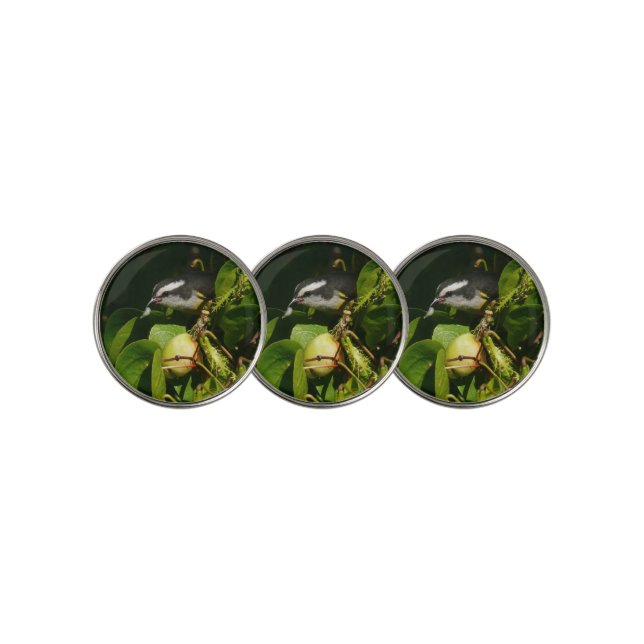 Bananaquit Bird Eating Tropical Photography Golf Ball Marker (3 Up)
