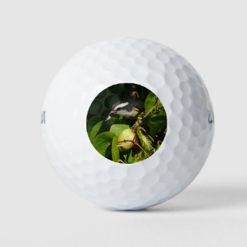 Bananaquit Bird Eating Tropical Photography Golf Balls by mlewallpapers at Zazzle