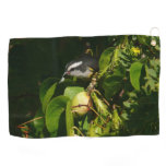 Bananaquit Bird Eating Tropical Photography Golf Towel
