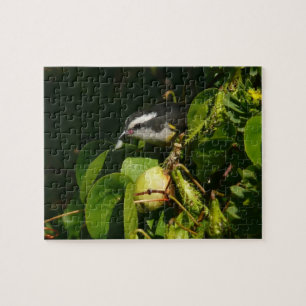 Bananaquit Bird Eating Tropical Photography Jigsaw Puzzle