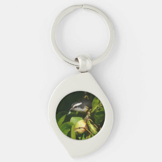 Bananaquit Bird Eating Tropical Photography Keychain