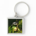 Bananaquit Bird Eating Tropical Photography Keychain