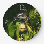Bananaquit Bird Eating Tropical Photography Large Clock