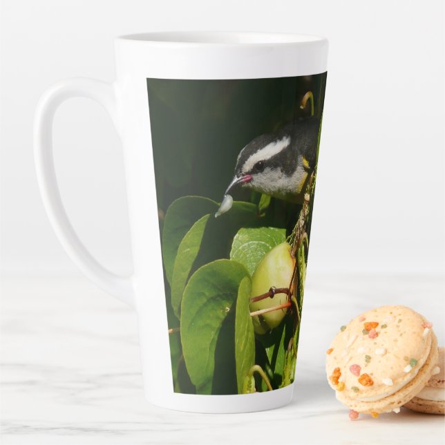 Bananaquit Bird Eating Tropical Photography Latte Mug (In Situ)