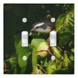 Bananaquit Bird Eating Tropical Photography Light Switch Cover