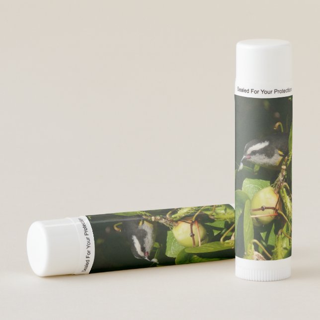Bananaquit Bird Eating Tropical Photography Lip Balm (Front)