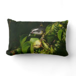 Bananaquit Bird Eating Tropical Photography Lumbar Pillow