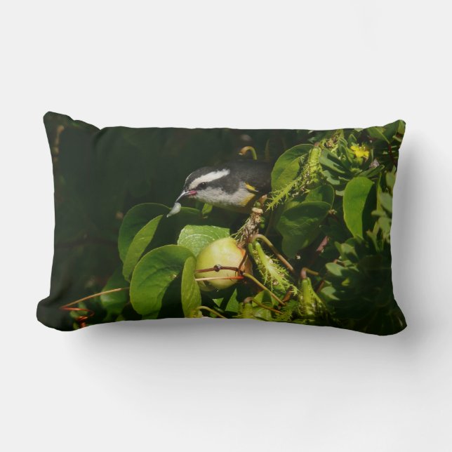 Bananaquit Bird Eating Tropical Photography Lumbar Pillow (Front)