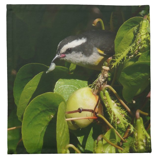 Bananaquit Bird Eating Tropical Photography Napkin (Front)