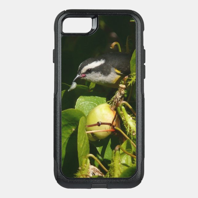 Bananaquit Bird Eating Tropical Photography Otterbox iPhone Case (Back)