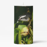 Bananaquit Bird Eating Tropical Photography Pillar Candle