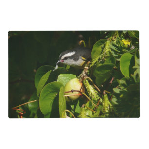 Bananaquit Bird Eating Tropical Photography Placemat
