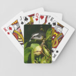 Bananaquit Bird Eating Tropical Photography Playing Cards