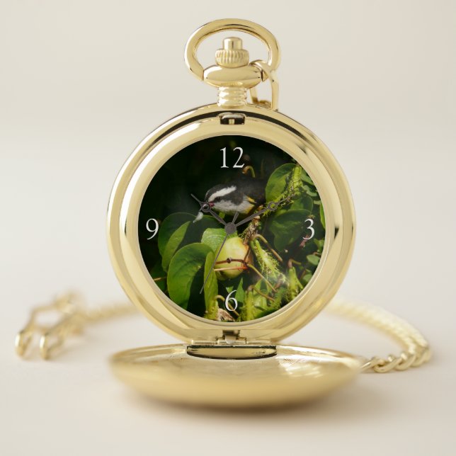 Bananaquit Bird Eating Tropical Photography Pocket Watch (Inside)