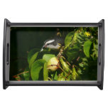 Bananaquit Bird Eating Tropical Photography Serving Tray