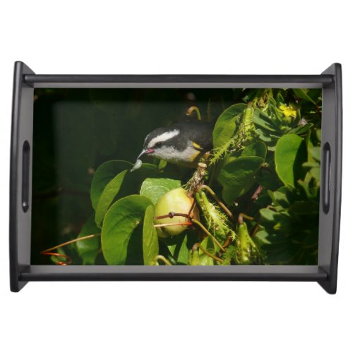 Bananaquit Bird Eating Tropical Photography Serving Tray