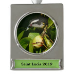 Bananaquit Bird Eating Tropical Photography Silver Plated Banner Ornament