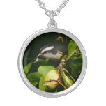 Bananaquit Bird Eating Tropical Photography Silver Plated Necklace