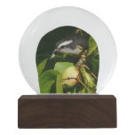 Bananaquit Bird Eating Tropical Photography Snow Globe