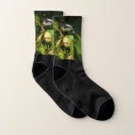 Bananaquit Bird Eating Tropical Photography Socks