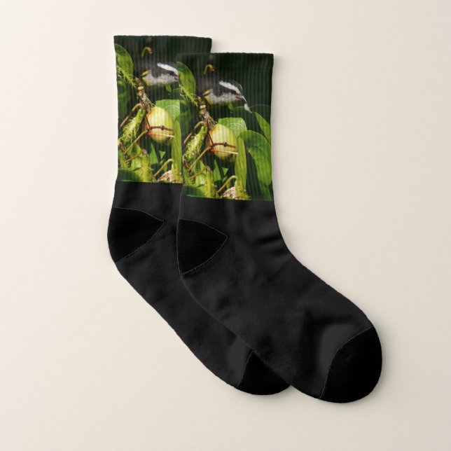 Bananaquit Bird Eating Tropical Photography Socks (Pair)