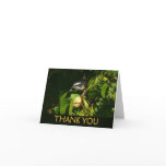 Bananaquit Bird Eating Tropical Photography Thank You Card