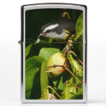 Bananaquit Bird Eating Tropical Photography Zippo Lighter