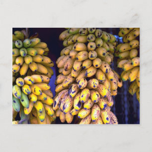Bananas for sale at market, Puerto Rico Postcard