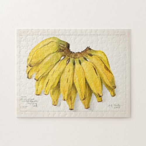 Bananas Musa Fruit Watercolor Painting Jigsaw Puzzle