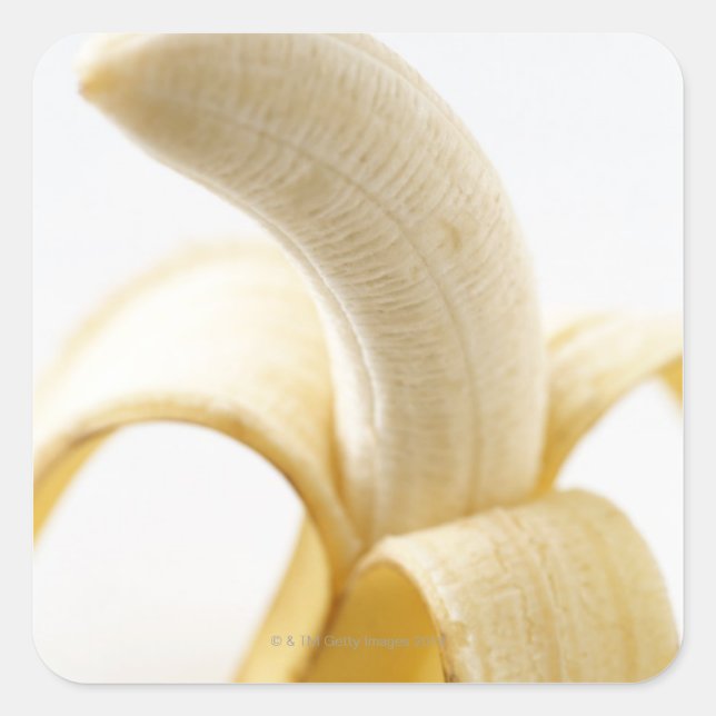 Bananas Square Sticker (Front)