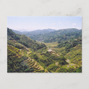 Banaue Rice Terraces Postcard