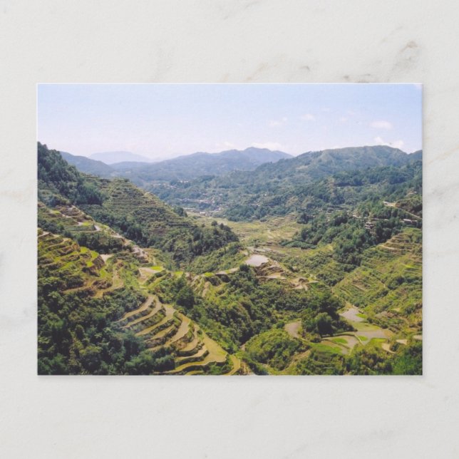 Banaue Rice Terraces Postcard (Front)